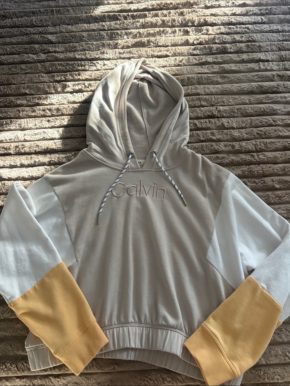 Calvin Klein retro crop top hoodie